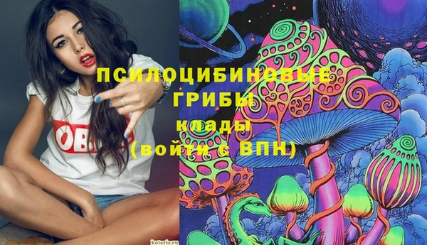 mdpv Щигры