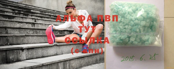 индика Янаул