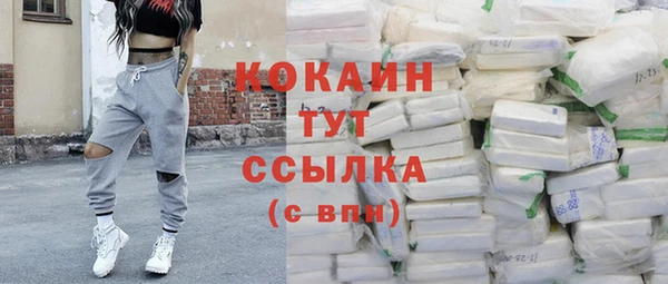 mdpv Щигры